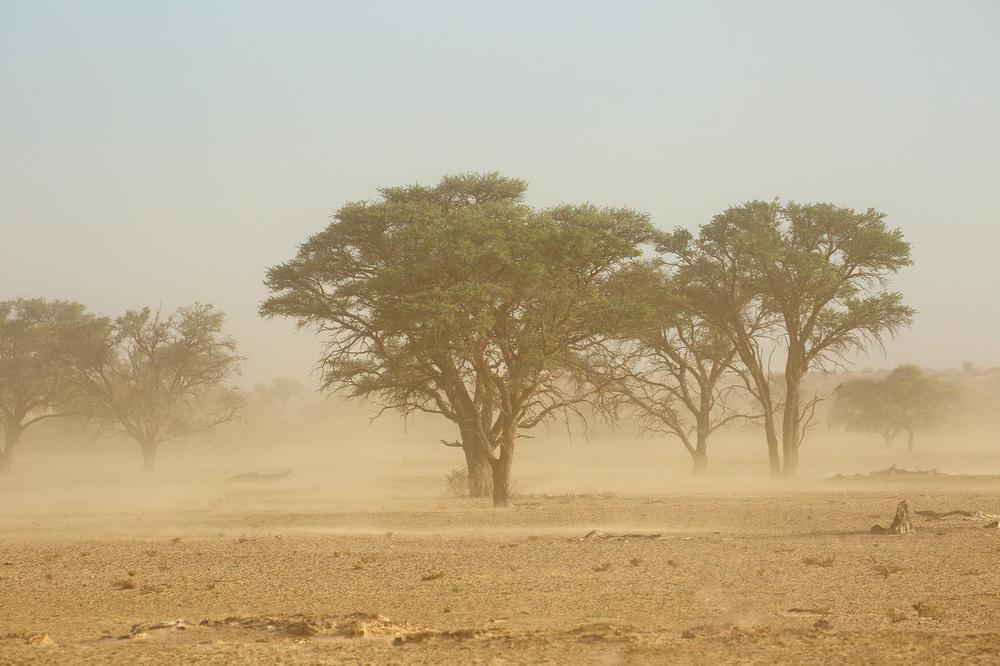 Сахара пристигнува во Европа: Ветровите ќе носат песок и прашина